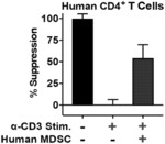 COMBINATION THERAPY FOR CANCER