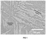 High-entropy alloys with high strength