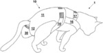 WEARABLE FELINE WASTE COLLECTOR AND METHOD OF MAKING SAME