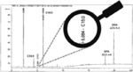 HUMAN AND NON-HUMAN ANIMAL USE OF MICROBIAL ANAPLEROTIC OIL