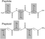 ANTIVIRAL PEPTOID COMPOSITIONS