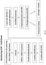 RNA Interactome of Polycomb Repressive Complex 1 (PRC1)