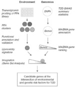 COMPOSITIONS, METHODS AND USES FOR FREE FATTY ACID SCREENING OF CELLS AT SCALE