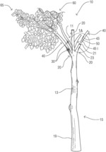 Decorative tree with insertable, interchangeable branches system and method