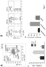 Targeting metastasis stem cells through a fatty acid receptor (CD36)