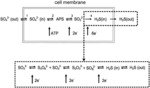 Multivalent iron bio-inhibitor from waste bauxite residue to control reservoir souring