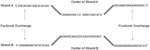 Multivalent oligonucleotide assemblies