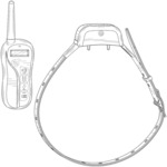 Training collar with remote control