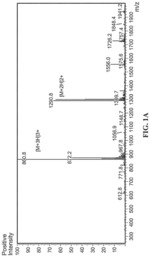 LABYRINTHIN-BASED PEPTIDES FOR CANCER IMMUNOTHERAPIES AND USES THEREOF