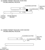 METHOD FOR DETECTING TARGET NUCLEIC ACID AND NUCLEIC ACID PROBE USED THEREIN