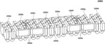 INTEGRATED TRACKING ANTENNA ARRAY