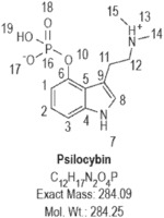 METHODS FOR TREATING ANXIETY DISORDERS, HEADACHE DISORDERS, AND EATING DISORDERS WITH PSILOCYBIN