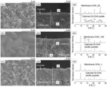 CHA ZEOLITE MEMBRANE AND METHOD OF PREPARING THE SAME