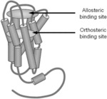 POSITIVE ALLOSTERIC MODULATORS OF THE MUSCARINIC ACETYLCHOLINE RECEPTOR M4