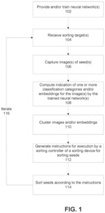 SYSTEMS AND METHODS FOR SORTING OF SEEDS