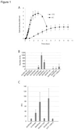 Fusion moieties and microbial hosts for protein production