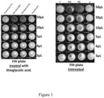 Hydrophilic coatings of plasmonic metals to enable low volume metal-enhanced fluorescence
