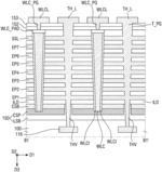 Semiconductor memory device including capacitor