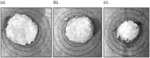 CONVERTED STARCH AND FOOD COMPRISING SAID CONVERTED STARCH