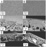 Isoporous mesoporous asymmetric block copolymer materials with macrovoids and method of making the same