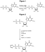 Compositions and methods for synthesizing 5'-Capped RNAs