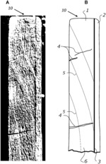 A METHOD FOR IMPROVING DURABILITY AND WEATHERABILITY OF TIMBER BY ENGINEERING LAYERS