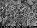OLEOPHILIC AND HYDROPHOBIC NANOCELLULOSE MATERIALS