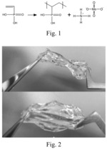 METHOD FOR STORING ENERGY IN A HYDROGEL SUPERCAPACITOR