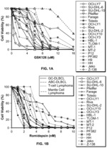 Combination therapy of lymphoma