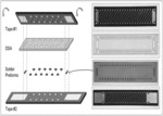 Fabrication of high-temperature superconducting striated tape combinations