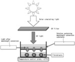 INFLAMMATION-SUPPRESSING AGENT