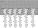 METHOD FOR PRODUCING A CYCLICALLY STABLE SILICON ANODE FOR SECONDARY BATTERIES, AND SILICON ANODE FOR SECONDARY BATTERIES