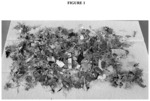 High-carbon recovered paper and plastic materials with reduced endotoxin levels