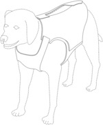 Dog vest