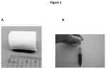 Biomaterial for Articular Cartilage Maintenance and Treatment of Arthritis
