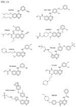 Small molecule inhibitors of EGFR and PI3K