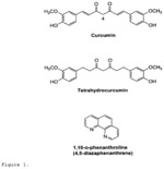 Curcumin analogues as zinc chelators and their uses