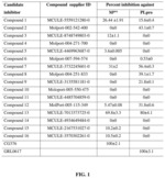 Anti-SARS CoV-2 inhibitors by dual viral-host targeting