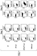 Nipah virus envelope glycoprotein pseudotyped lentivirus