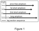 Method for analyzing nucleic acid sequence