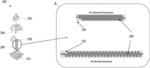 SWITCHABLE CONVERSION OF A STANDARD KEYBOARD TO A BRAILLE INTERFACE