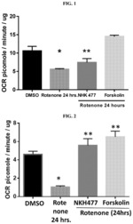 Disease modifying methods for treating neurodegenerative diseases using nootropic agents