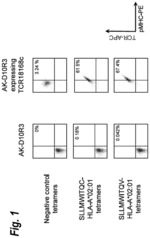 T cell receptors that bind to NY-ESO-1 and methods of use thereof