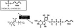 Method for Producing Capped RNA