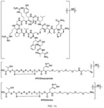 ASGPR-BINDING COMPOUNDS FOR THE DEGRADATION OF EXTRACELLULAR PROTEINS
