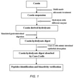 ULTRASOUND-ASSISTED SIMULATED DIGESTION METHOD OF CASEIN ACTIVE PEPTIDE AND APPLICATION THERE OF IN HEALTH FOODS