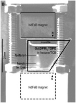 PREPARATION OF PARAMAGNETIC COMPOUNDS