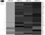 COMPOSITION FOR PREVENTING, ALLEVIATING OR TREATING CANCER