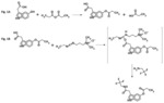 Methods and kits for the derivatization of a biogenic amine