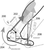 Proportional joint-moment control for powered exoskeletons and prostheses